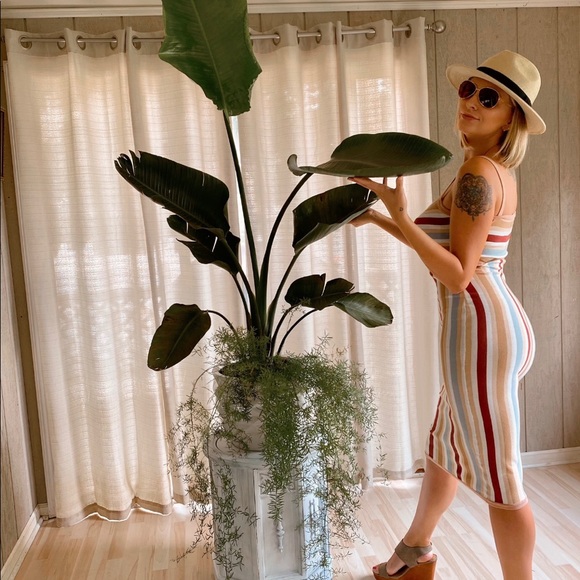 ✨ Welcome to my closet! ✨ - Picture 2 of 3